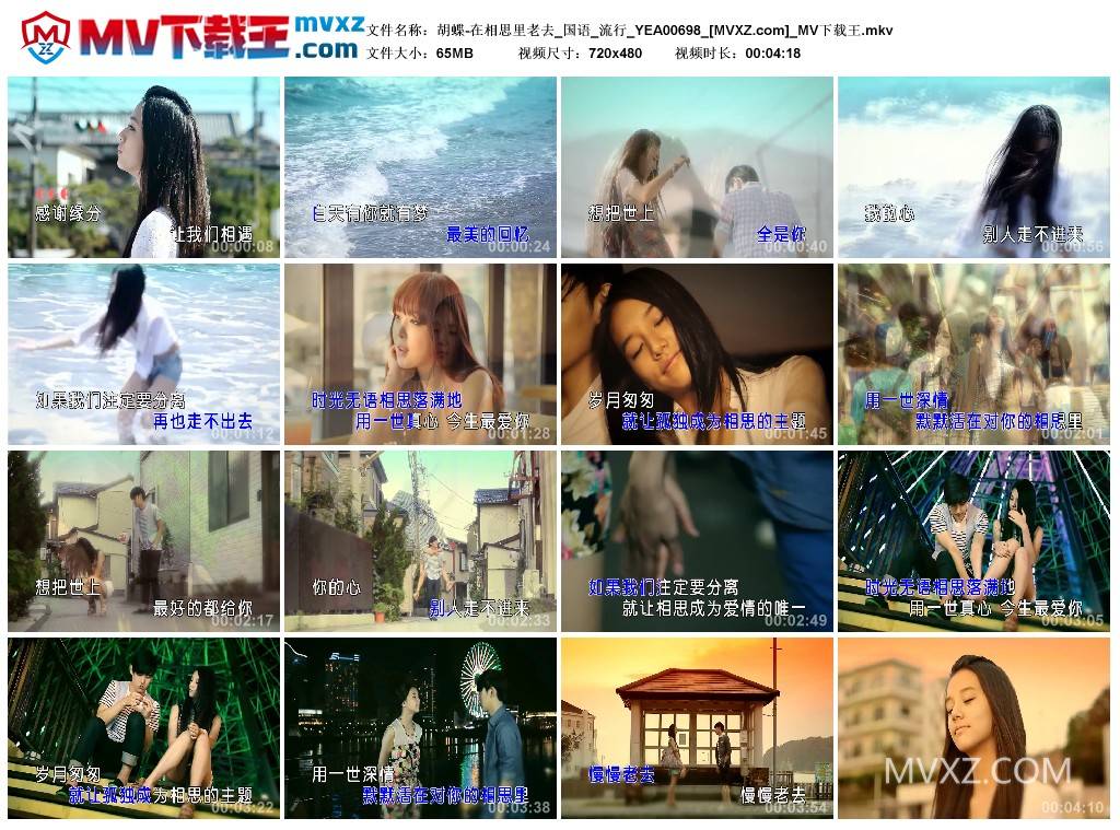 胡蝶-在相思里老去_国语_流行_YEA00698